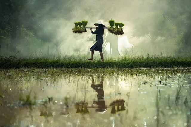 Unveiling Life’s Mystery: The Story of the Chinese Farmer