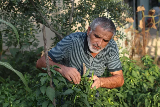 Don’t Retire – Rewire: Finding Purpose Beyond the Working Years